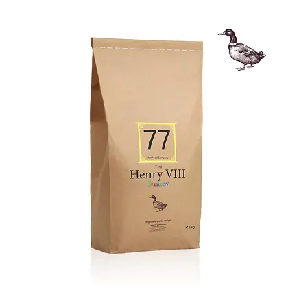 Junior Henry VIII z kaczką 5kg