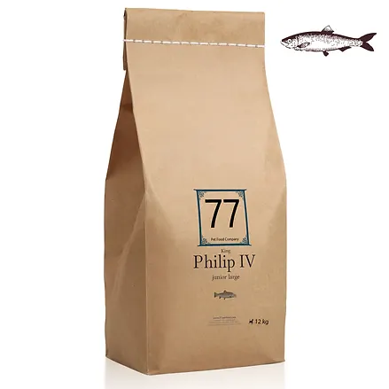 Junior Large Philip IV z łososiem 12kg