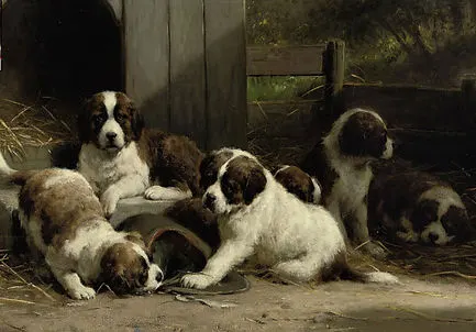 OttoEerelmanSaintBernardPuppiesDetail.jpg