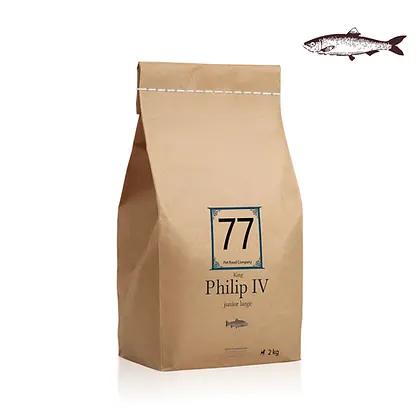 Junior Large Philip IV z łososiem 2kg