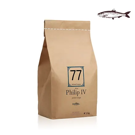 Junior Large Philip IV z łososiem 2kg